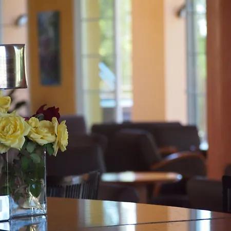 Bordoy Don Antonio Peguera