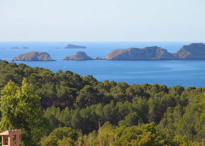 Готель Bordoy Don Antonio